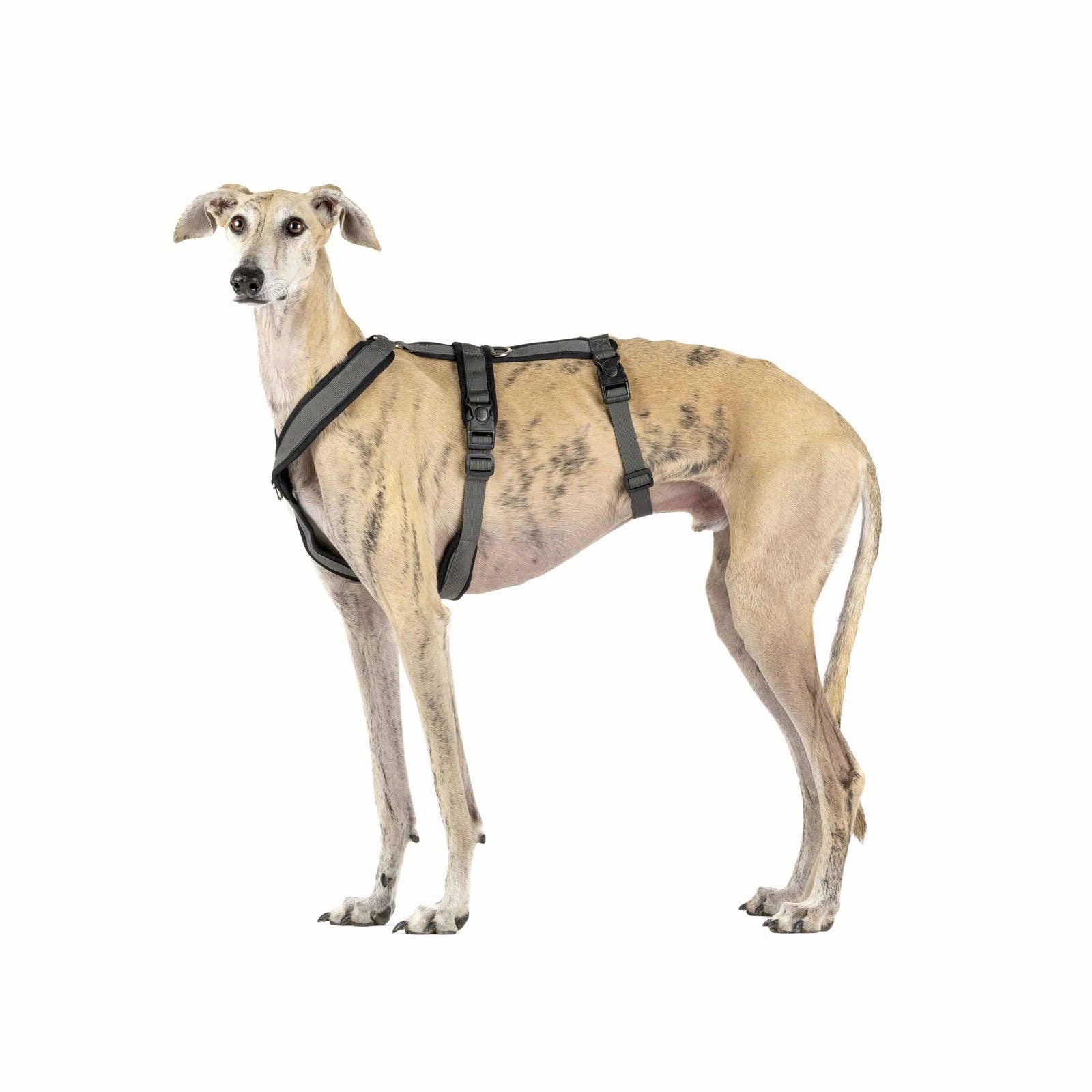 candyPet – Großhandel Haustiergeschirr – Hund – 3-Punkt Anti-Fluchthund-Geschirr0