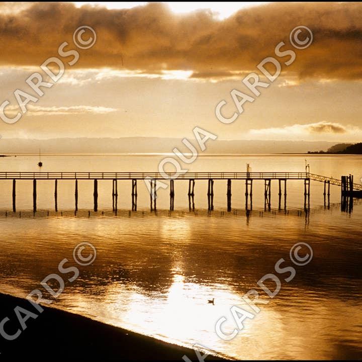 1257 - Docka i Sepia för wholesale av Aqua Cards