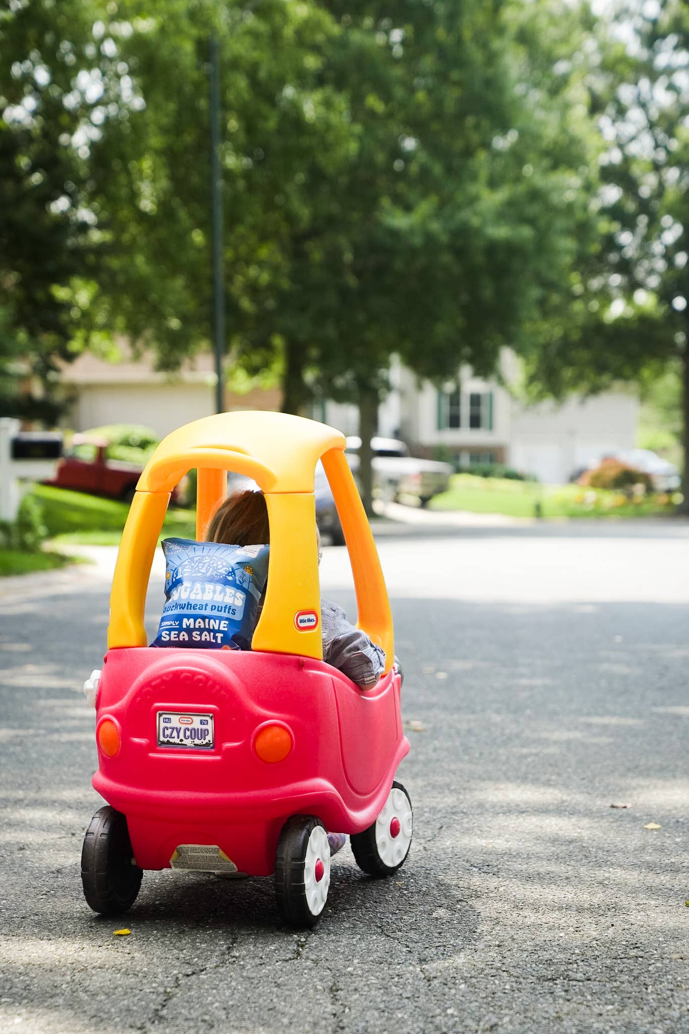 Diggables, Inc - Wholesale Puffed Snack - Simply Maine Sea Salt Buckwheat Puffs5