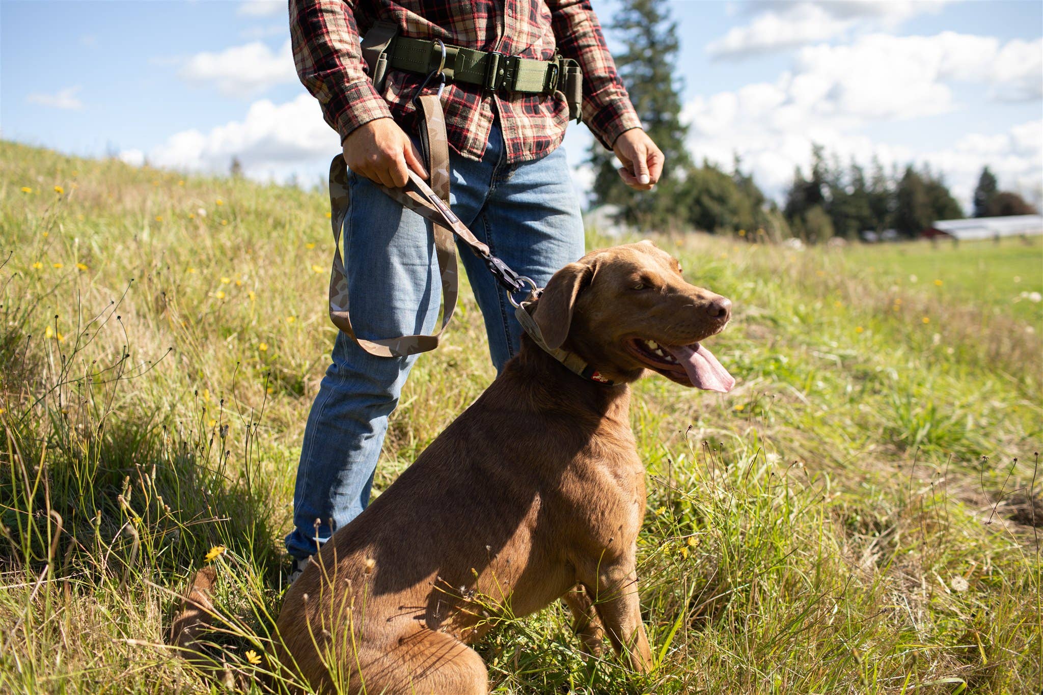 BOSS DOG BRAND, INC. - Wholesale Pet Leash - Dog - Boss Dog Human Tactical Belts11