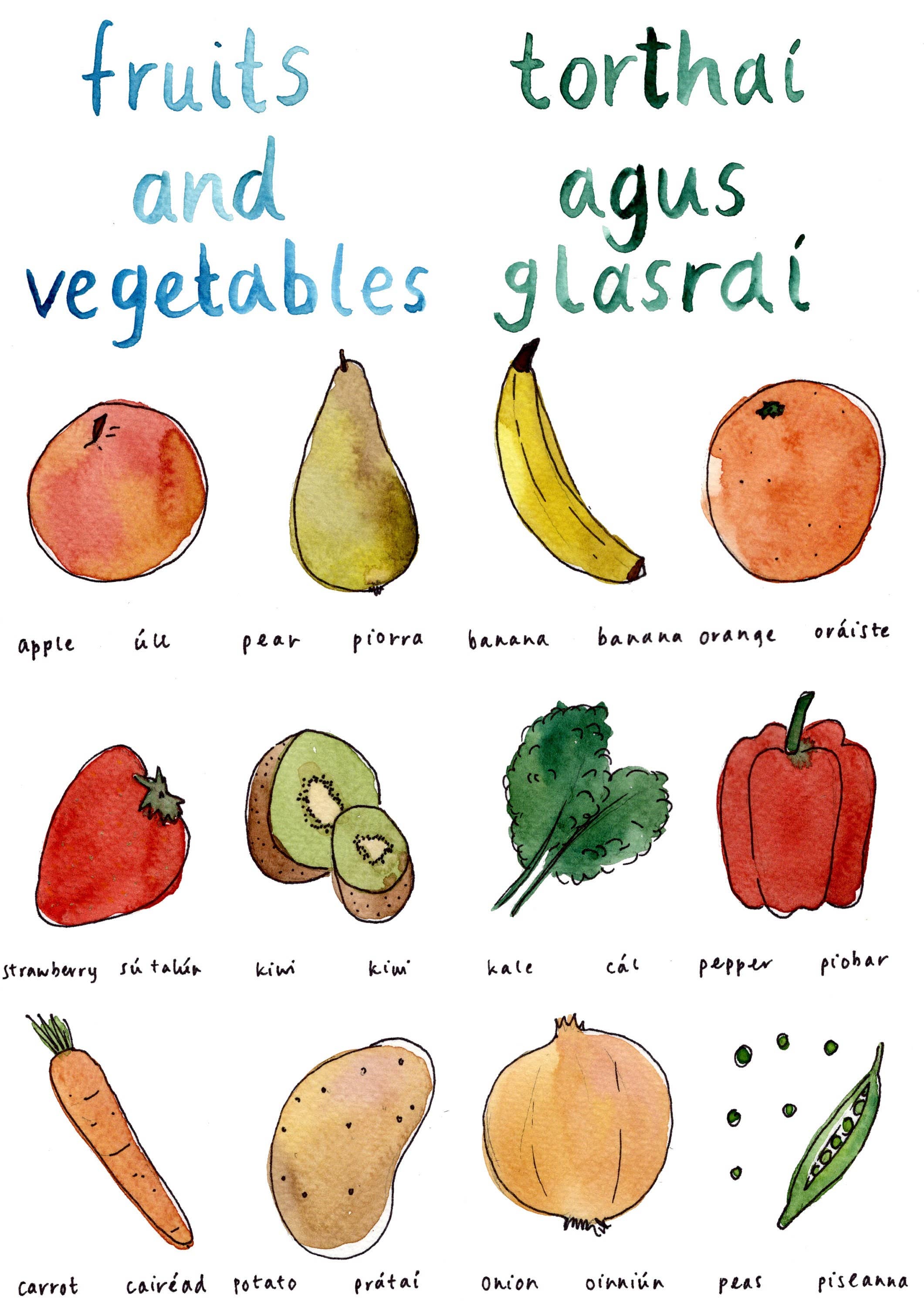 Hannah Lloyd Art - Wholesale Art Print - Kids & Baby - A4 Irish print – Fruits & Vegetables – Torthaí agus Glasraí1