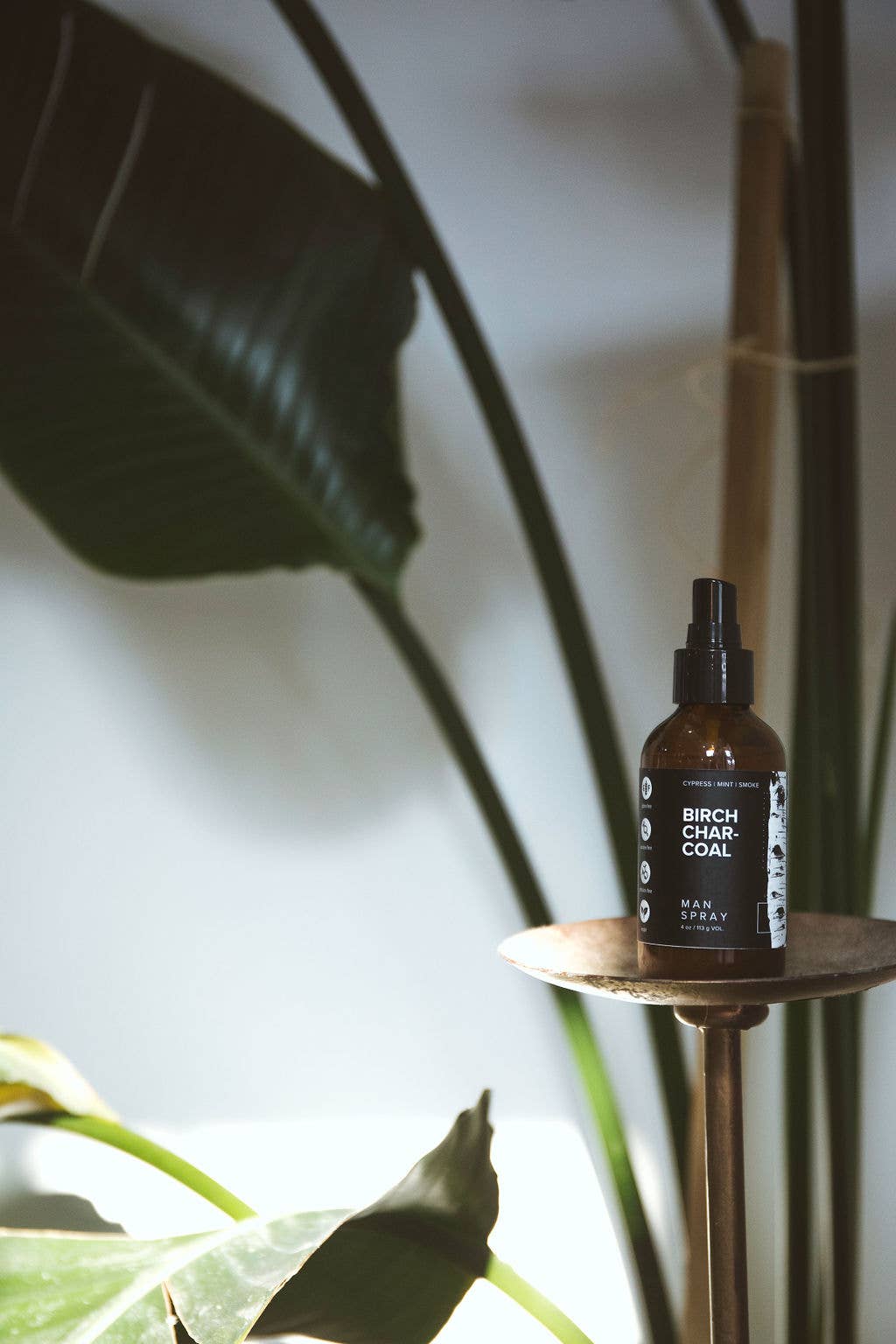 Broken Top Brands - Wholesale Perfume/Eau de Toilette - Birch Charcoal Room & Linen Spray5