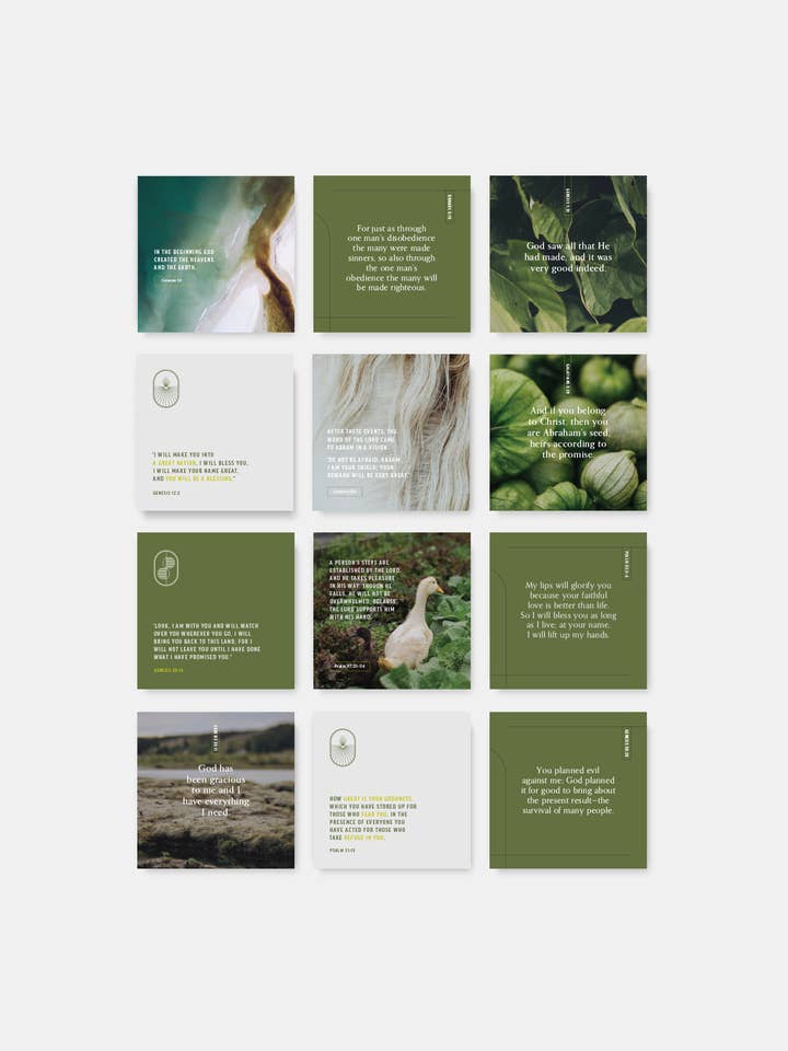 Genesis Scripture Card Set for wholesale by She Reads Truth
