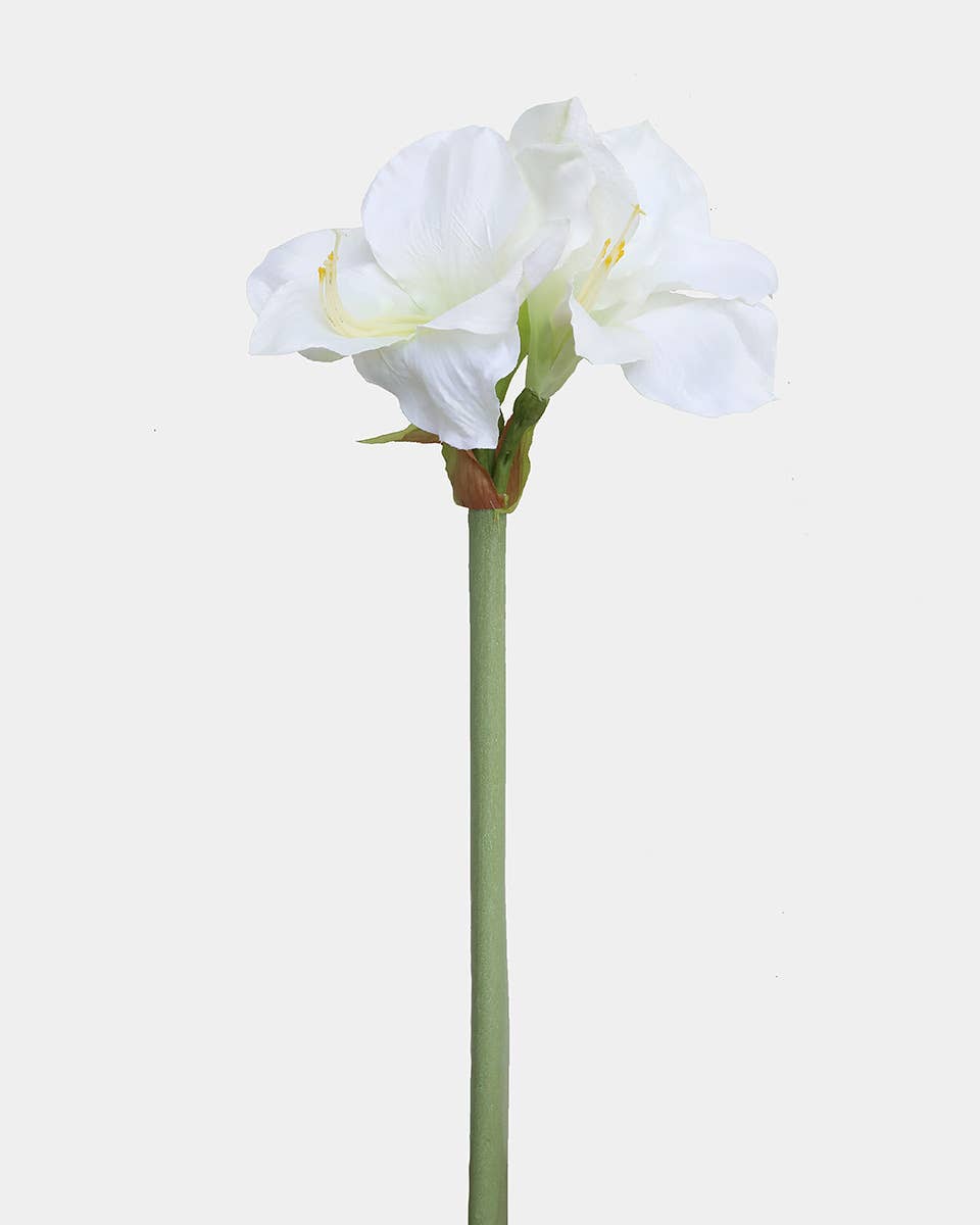 Prestige Botanicals - Wholesale Artificial flowers - White Artificial Amaryllis 19.5”0