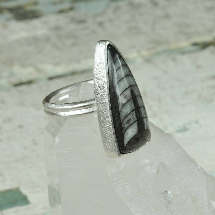 Orthoceras Fossil Sterling sølv ring | Størrelse 7 1/2 for engroshandel hos Danielle Harrison Jewelry