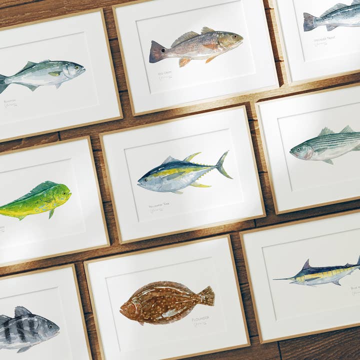 Studio Tuesday - Wholesale Art Print - Rainbow Trout Watercolor Fish Art Print3