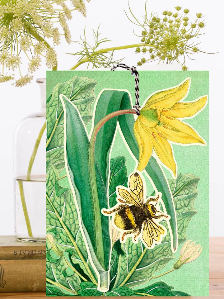 FD039P~ Large Fandangle greeting card for wholesale by Madame Treacle