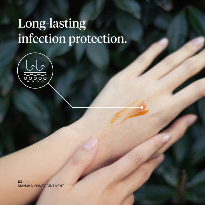 First Honey – wholesale Healing salve/balm/cream – First Honey® Manuka Wound Ointment