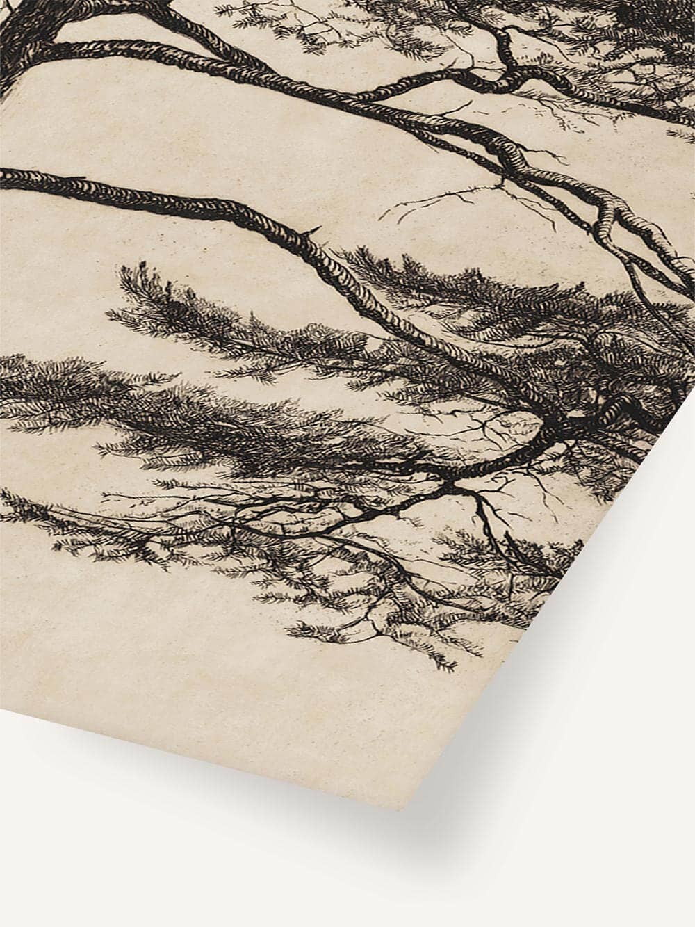 Modern Antique Prints - Wholesale Wall Art Set - Minimalist Pine – Japandi Art Print Set2