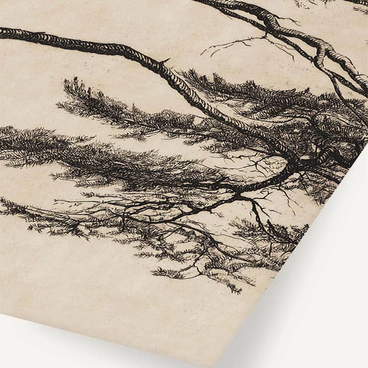 Modern Antique Prints - Wholesale Wall Art Set - Minimalist Pine – Japandi Art Print Set2