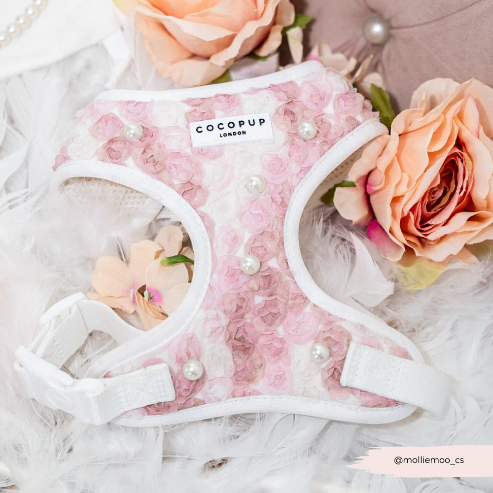 Cocopup London - Wholesale Tuig voor huisdieren - Hond - Cocopup London Pearly Pup verstelbare halsband voor honden14