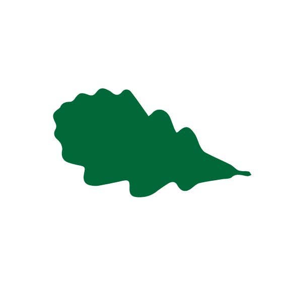 Artifacture - Wholesale Craft Supplies - Laser Cut Fall Themed Calligraphy Blanks (Paper)62