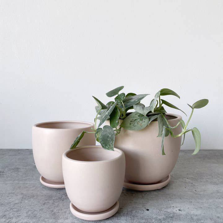 Little Fire Ceramics - Wholesale Plant Pot - Medium Classic Tabletop Planter