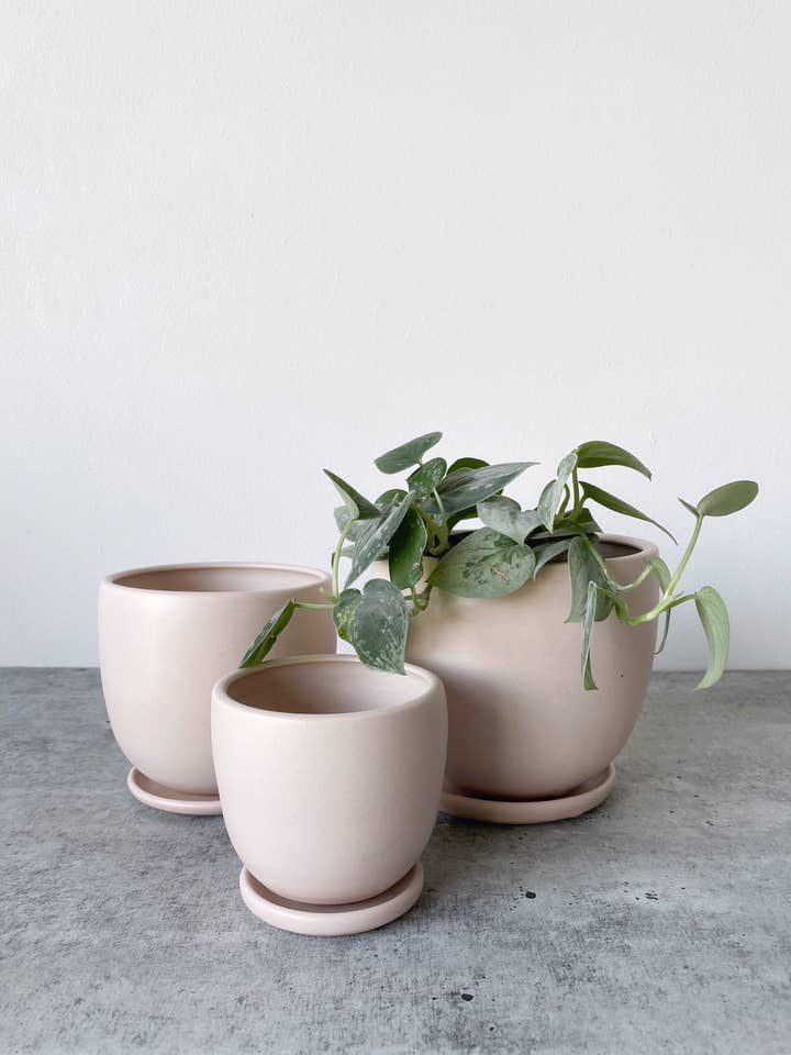 Medium Classic Tabletop Planter for wholesale by Little Fire Ceramics