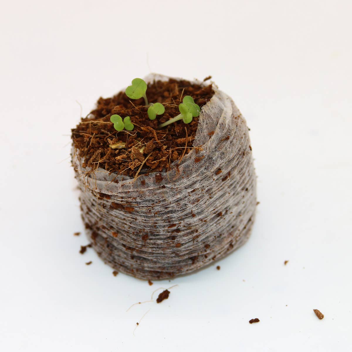 CoirProducts.co.uk of Salike Limited – wholesale Planting/potting soil – Coirproducts (cpuk) 38mm Coircoins (coir Pellets)7