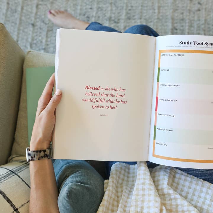 Paper Peony Press - Wholesale Religion - Brave and Beloved: A Bible Study Exploring the Wisdom and Di6