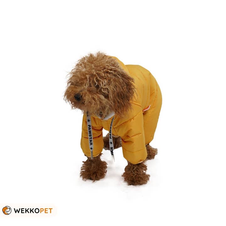 (SET OF 5) High-Quality Dog Jacket Coat Yellow Sport Jumpsuit- Perfect Dog Lover Gift - WEKKOPET for wholesale by WEKKOPET