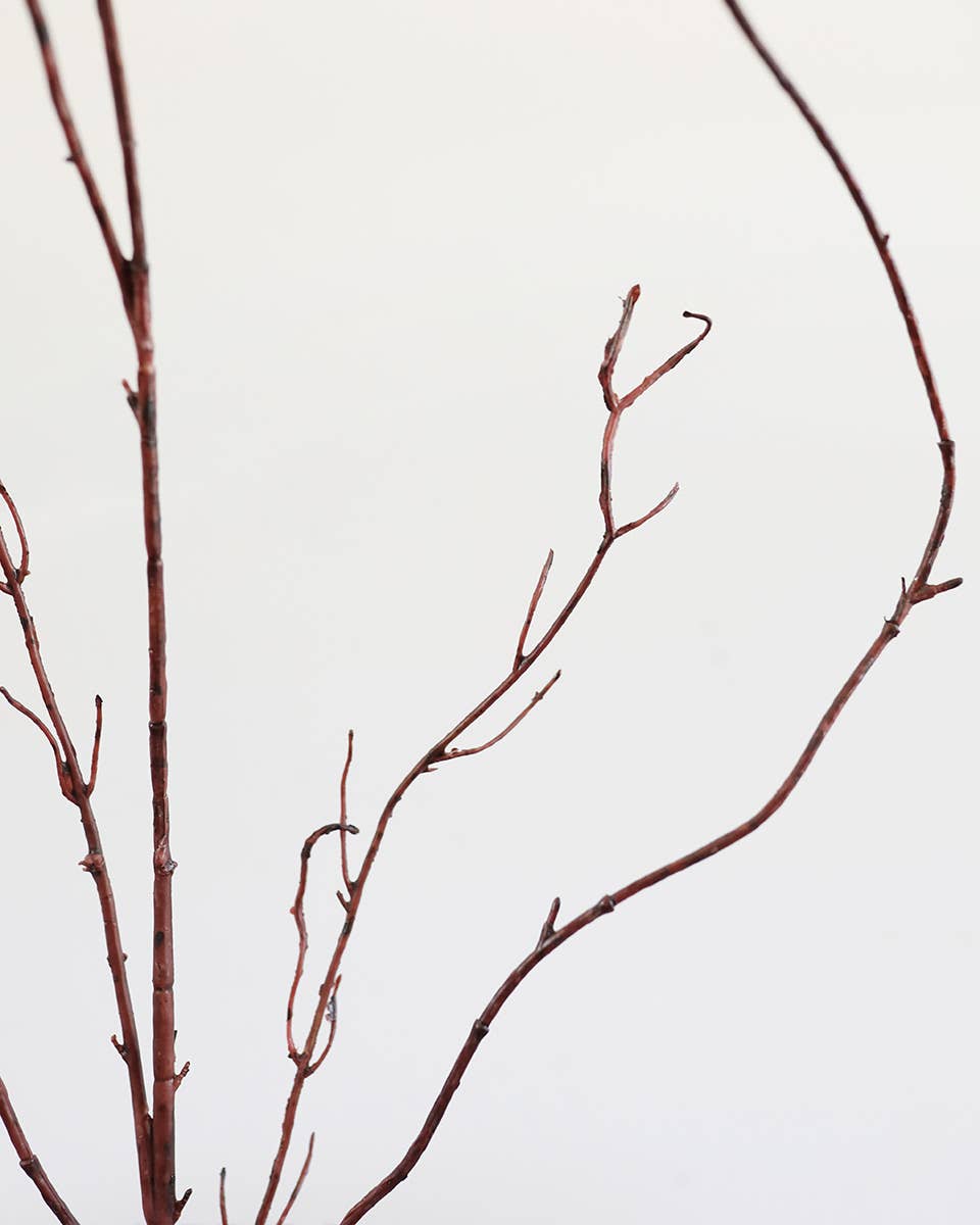 Prestige Botanicals – Planta artificial por atacado – Galho de Salgueiro Torcido de 44 polegadas (111,8 cm)3