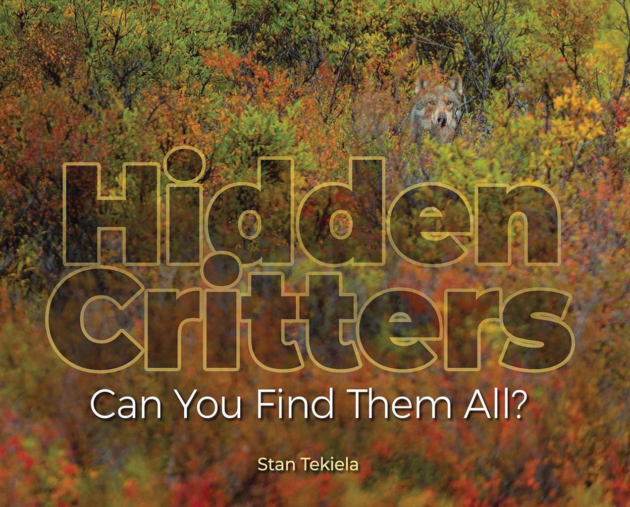 AdventureKEEN - Wholesale Nature & Outdoors - Hidden Critters - Children's Picture Book0