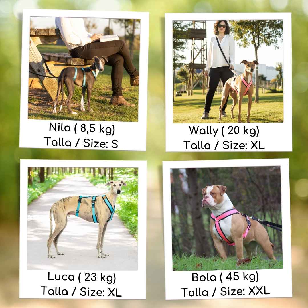 candyPet – Großhandel Haustiergeschirr – Hund – 3-Punkt Anti-Fluchthund-Geschirr1