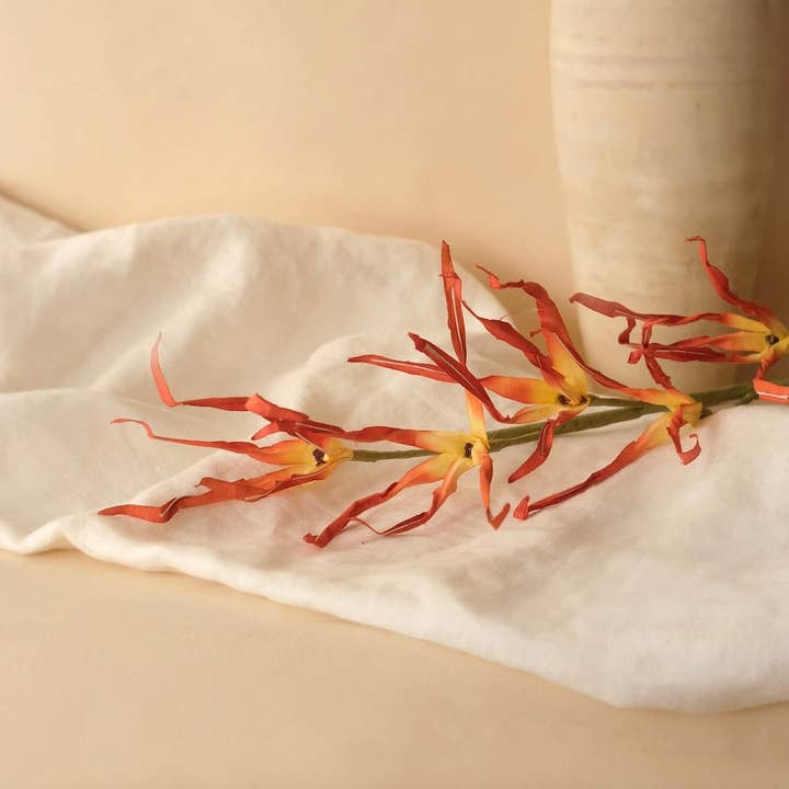 Passion Orchid in orange paper for wholesale by Flowrette