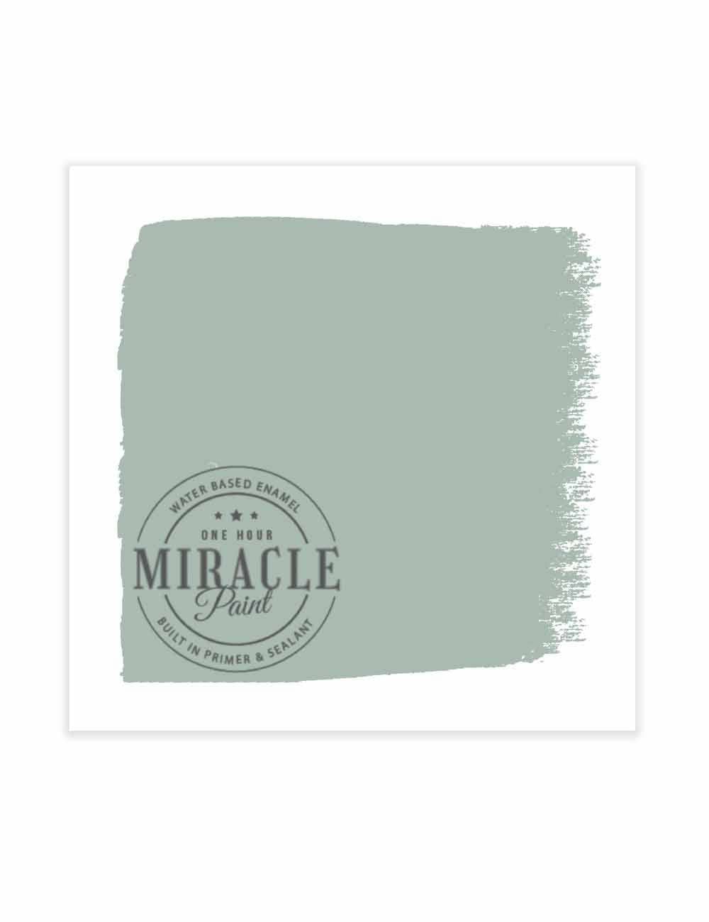Amy Howard at Home - Wholesale Paint Set - Miracle Paint (32 oz.)28