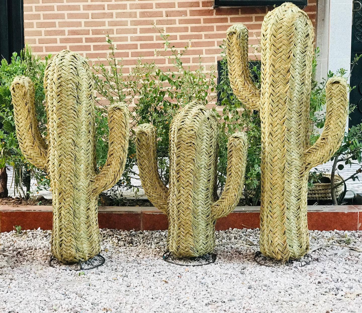 martitec - Vente Bibelots/décorations d'extérieur - Cactus en fibre tressée : l'élément de décoration tendance0