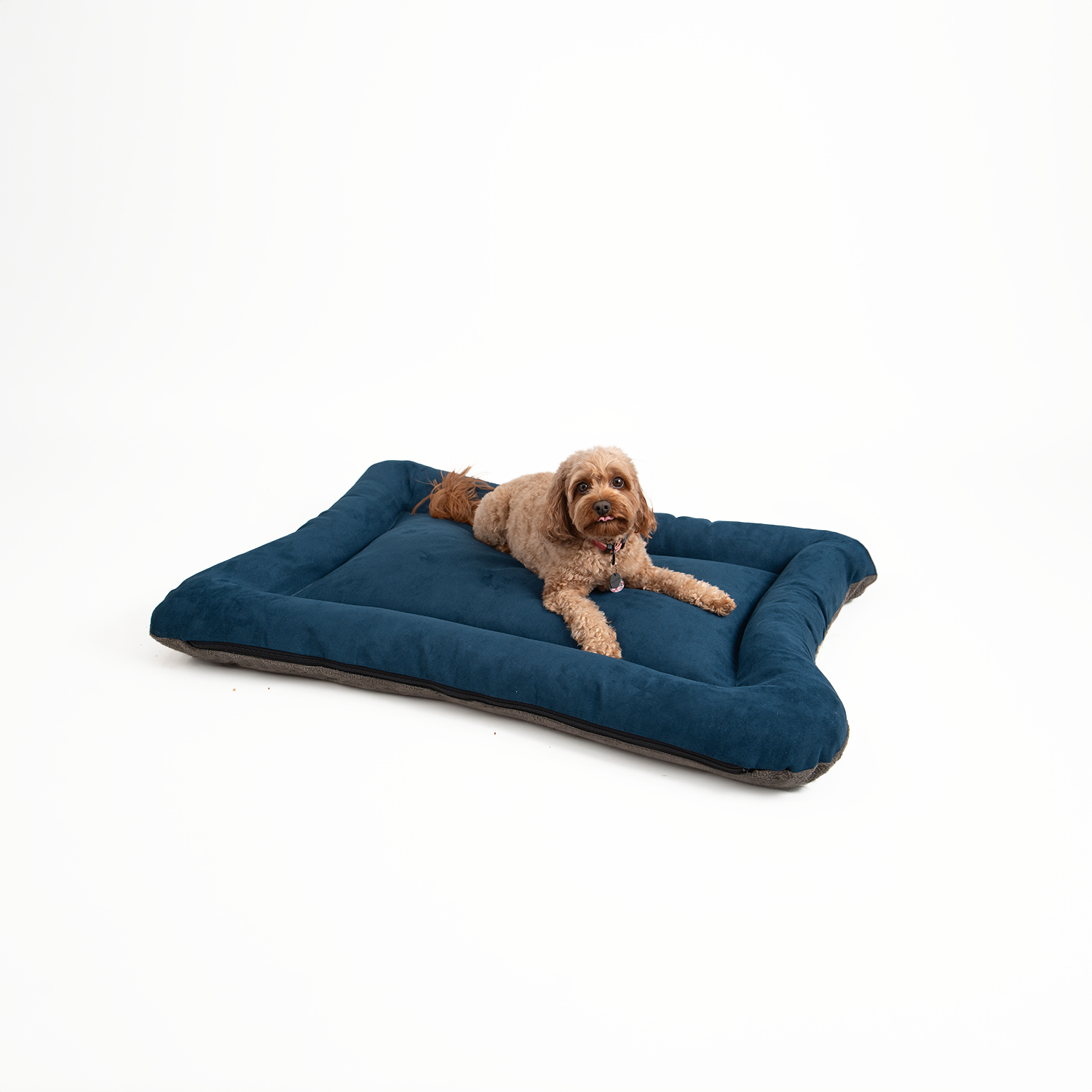 Snoozer Pet Products - Vendita all'ingrosso Letto - Cani - Cuccia per Cani All Day di Snoozer16