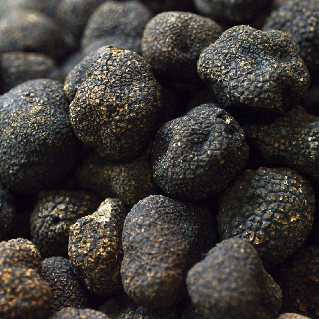 Oliviers & Co - Wholesale Crackers - 1.59 oz Truffle Chips1