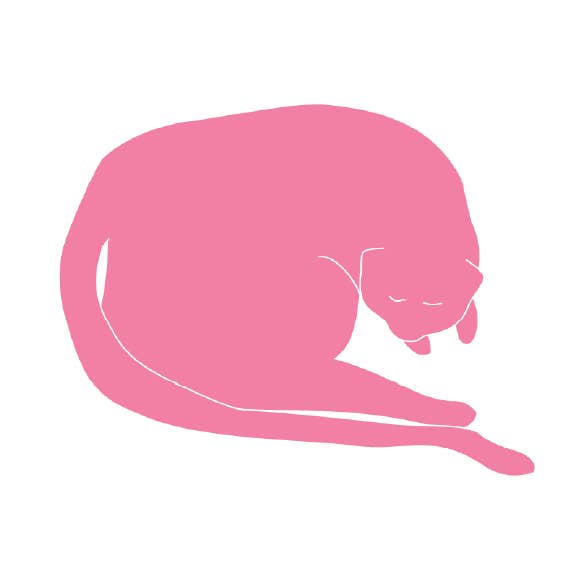 Archie's Press - Wholesale Wall Decor - Kids & Baby - Cat Prints9