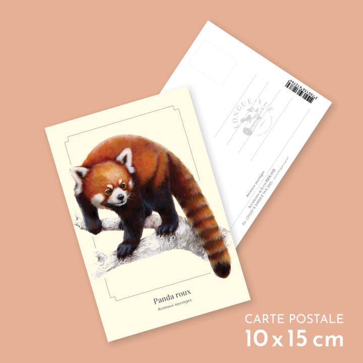 Red panda - Postcard for wholesale by Longue-vue