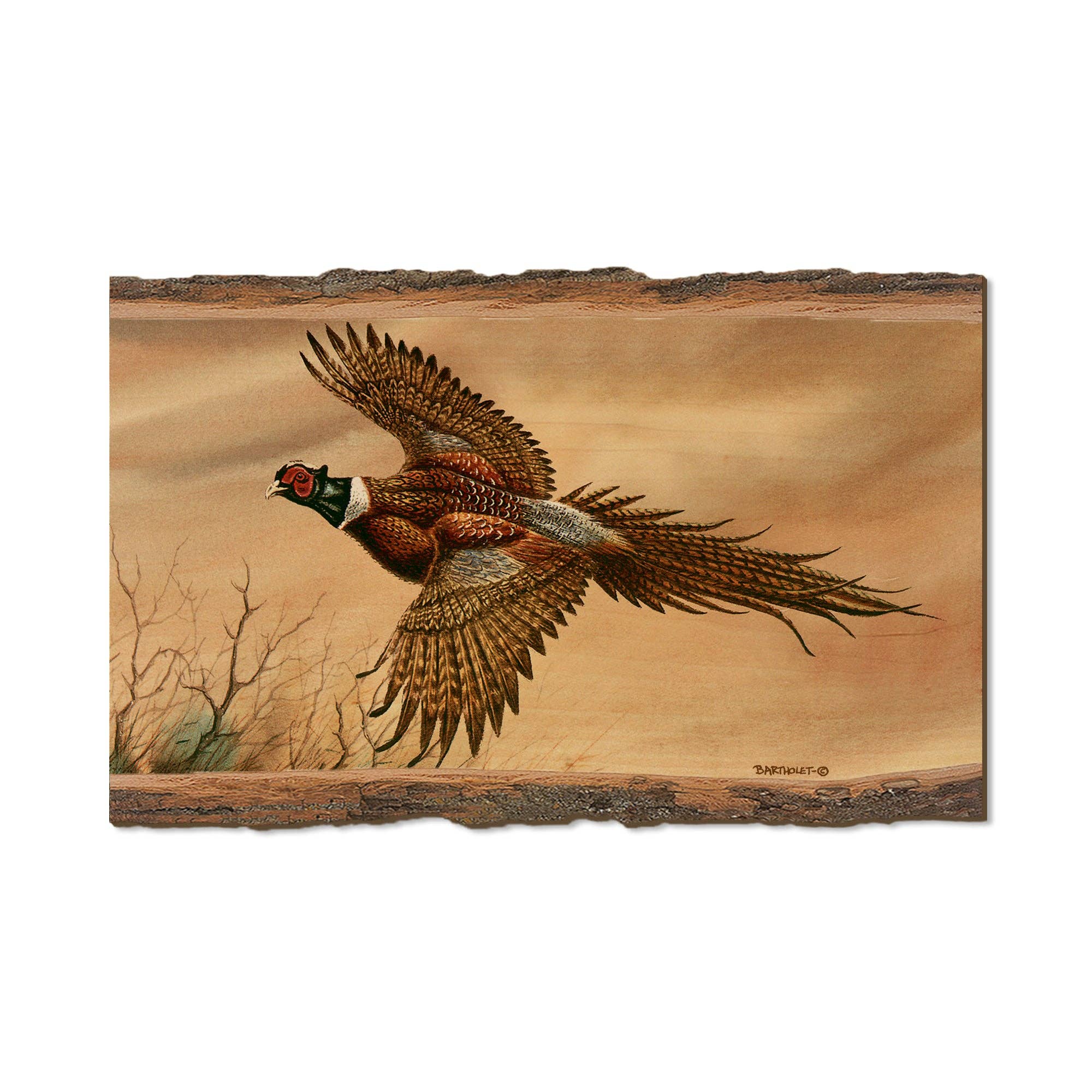 DaydreamHQ - Wholesale Postcard - Bartholet's Kaleidoscope Pheasant  - Live Edge4