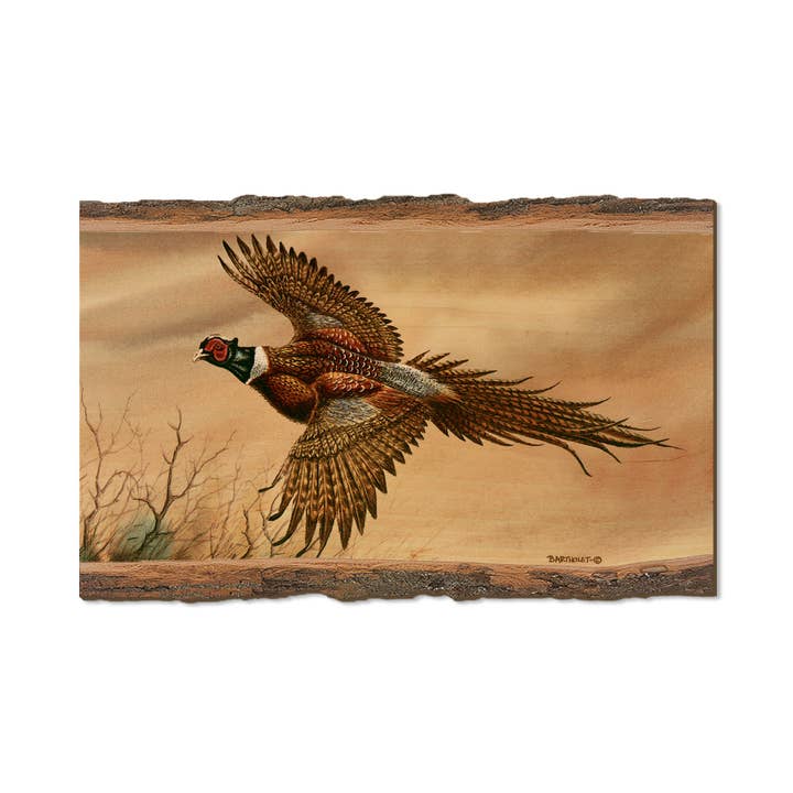 DaydreamHQ - Wholesale Postcard - Bartholet's Kaleidoscope Pheasant - Live Edge4