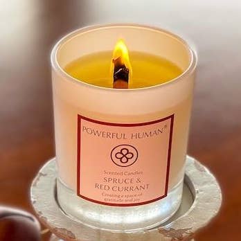 SPRUCE AND RED CURRANT 7.76oz (220g) Creating a space of gratitude and joy for wholesale by Powerful Human