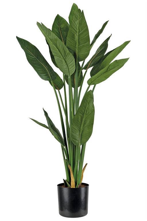 Select Artificials, Inc. - Wholesale Artificial Plant - Bird of Paradise in Pot45.27" 16 Leaves Two Tone