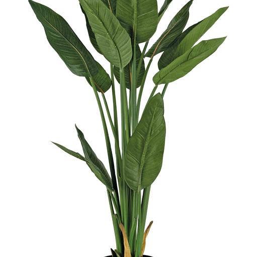 Select Artificials, Inc. - Wholesale Artificial Plant - Bird of Paradise in Pot45.27" 16 Leaves Two Tone0