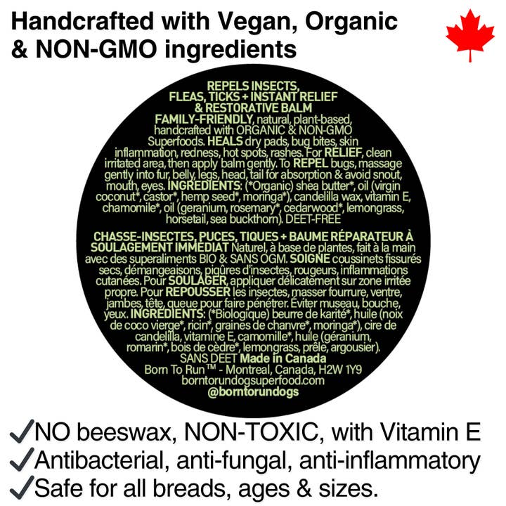 BORN TO RUN DOGS - Wholesale Pet Balm - Dog - SKIN & COAT Healing Balm w/ Bug Repellent Organic 60g (2oz)