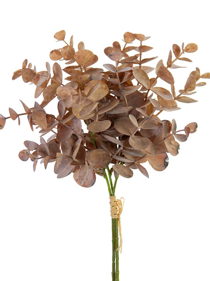 American Best - Vente Fleurs artificielles - Lot de 15" d'eucalyptus0