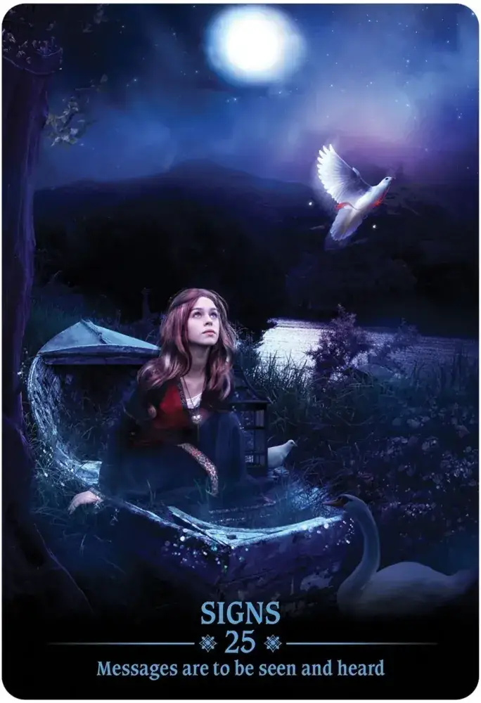 U.S. Games Systems Inc. - Wholesale Tarot Cards - Dark Light Oracle4