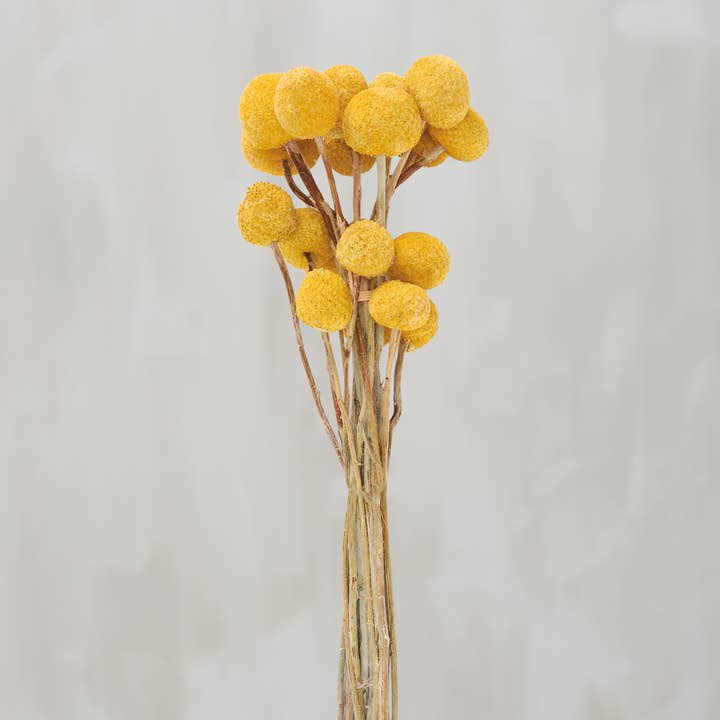 Yellow Billy Button Bouquet for wholesale by Primitives by Kathy