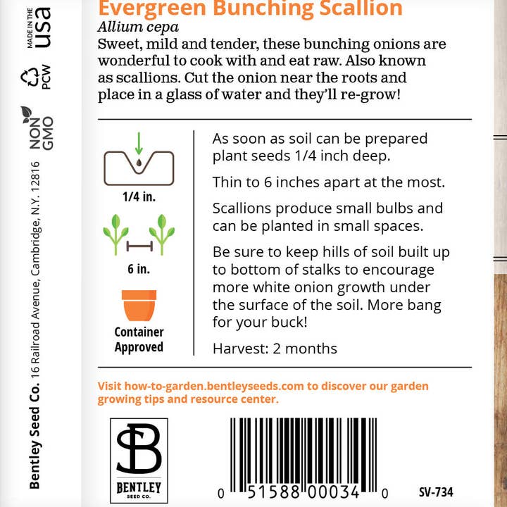 Bentley Seed Co. - Wholesale Plant Seeds - Onion, Evergreen Bunching Seed Packets1