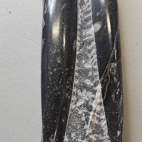 Midnight,Moonlight & Magick - Wholesale Spiritual Stone/Crystal - Orthoceras Tower (Small)0