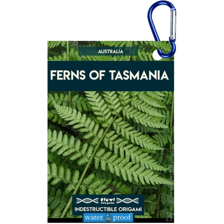 Fougères de Tasmanie - Origami indestructible pour la vente par Flexi Field Guides