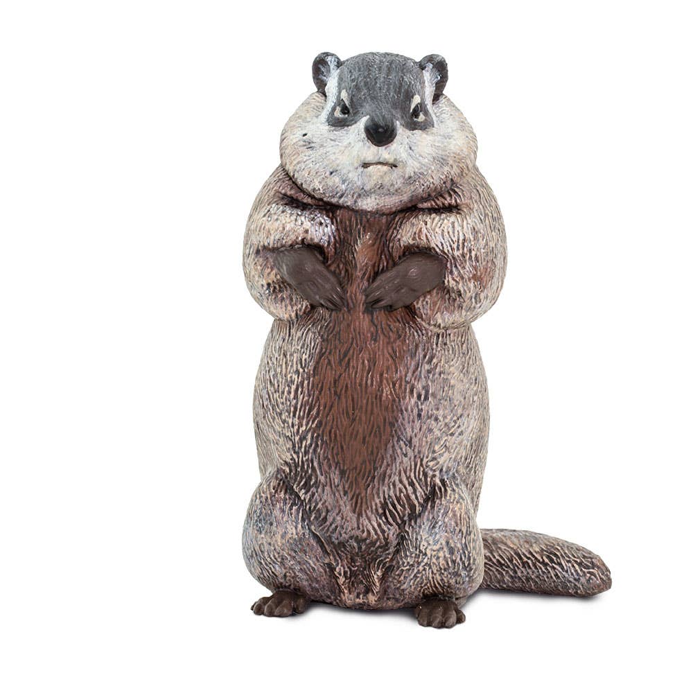 Safari Ltd. - Wholesale Decorative Figurine - Groundhog - 1001181