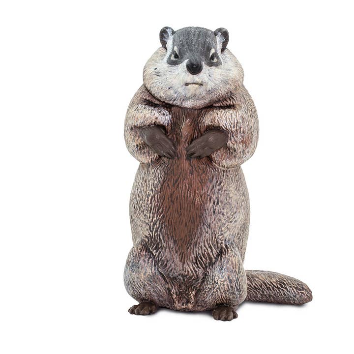 Safari Ltd. - Wholesale Decorative Figurine - Groundhog - 1001181