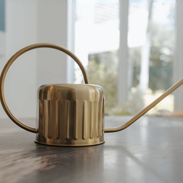 The Farmer's Daughter - Wholesale Watering can - 1L Gold Stainless Steel Watering Can – Long Spout Design2