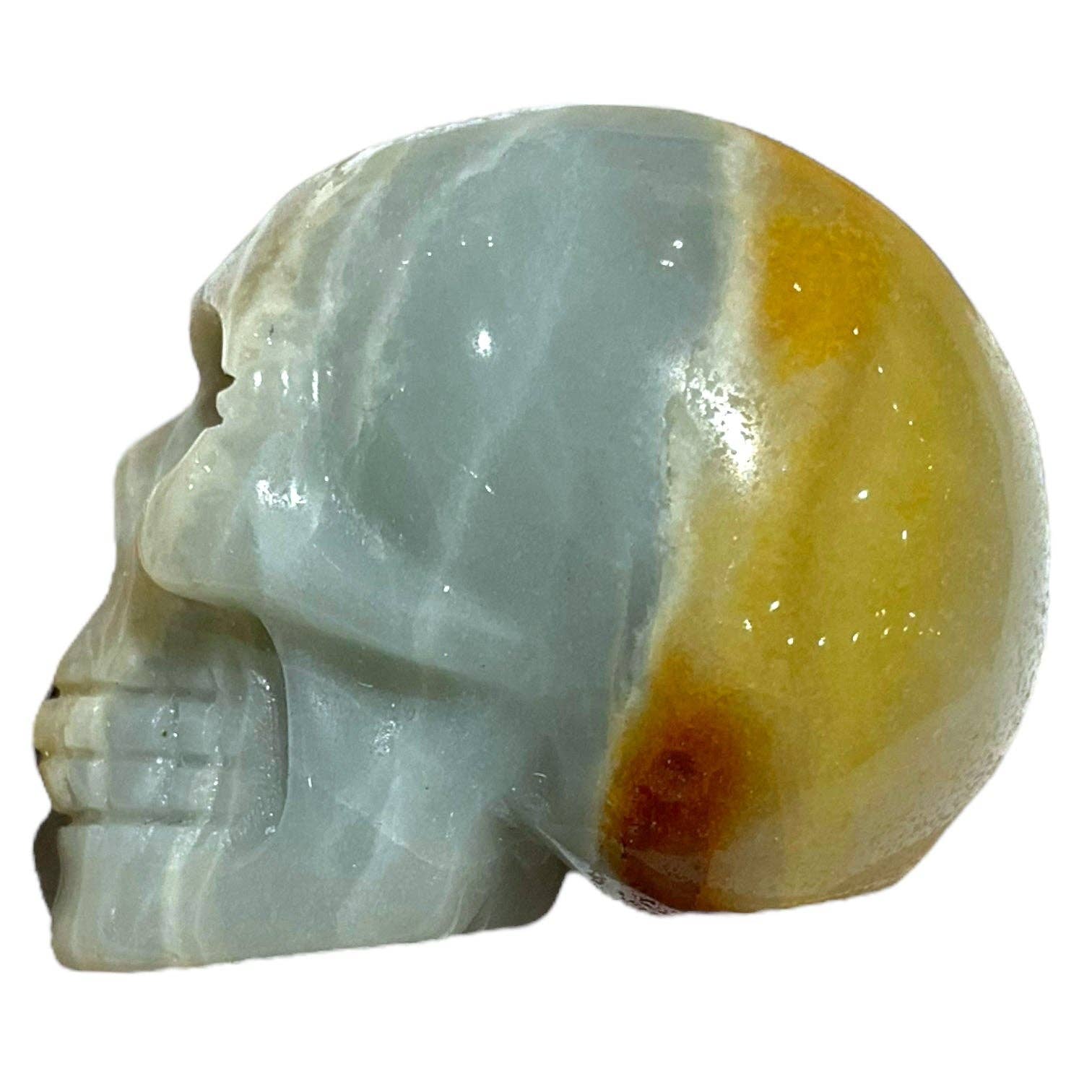 Foliesbijoux - Wholesale Spiritual Stone/Crystal - Amazonite skull from China1