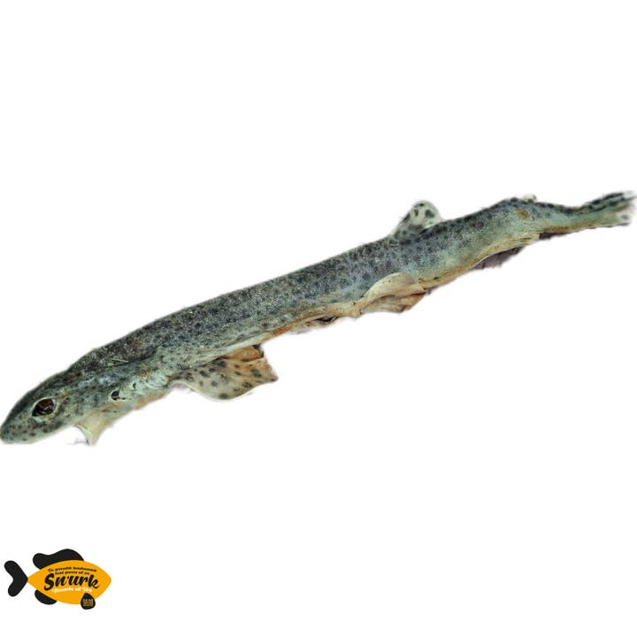 Hundedhage for engroshandel hos Sn'urk