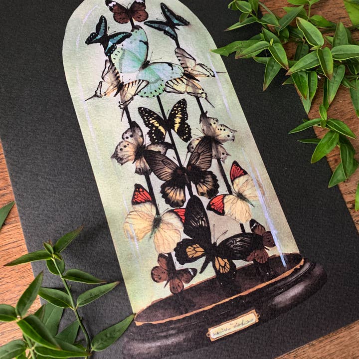 Georgiou Draws - Vente Affiche d'art - Impression artistique aquarelle en forme de dôme de papillon antique4