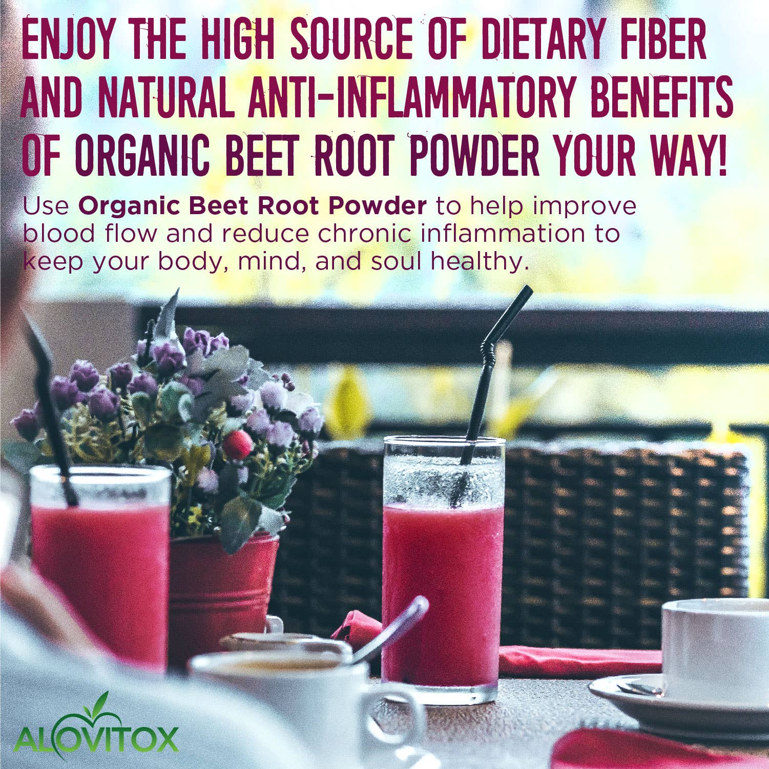 Alovitox - Wholesale Protein/Superfood Powder - Certified Organic Beet Root Powder5